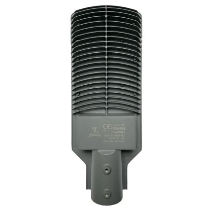 LED gatulampa LED/100W/170-400V IP65