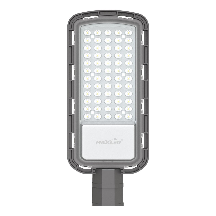 LED gatulampa LED/100W/230V 6500K IP65 grå