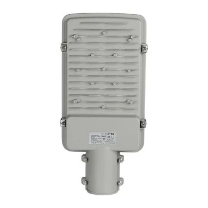LED gatulampa SAMSUNG CHIP LED/30W/230V 6400K IP65
