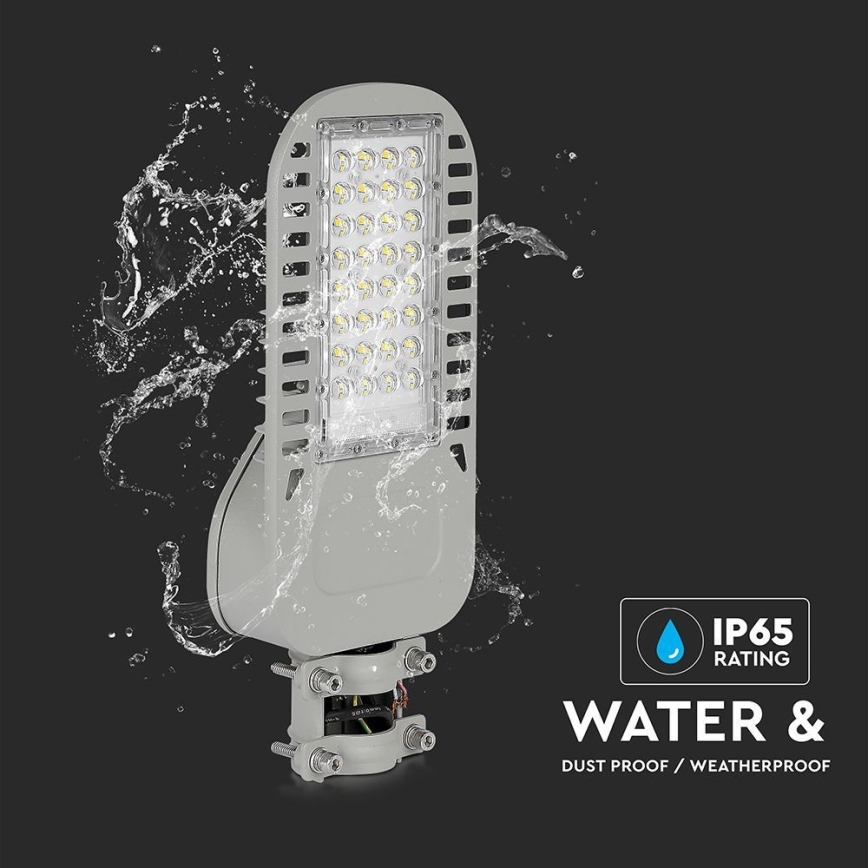 LED gatulampa SAMSUNG CHIP LED/50W/230V 6500K grå