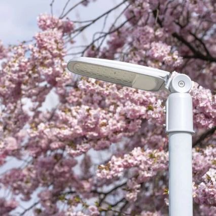 LED gatulampa SOLIS LED/30W/230V 4000K IP65