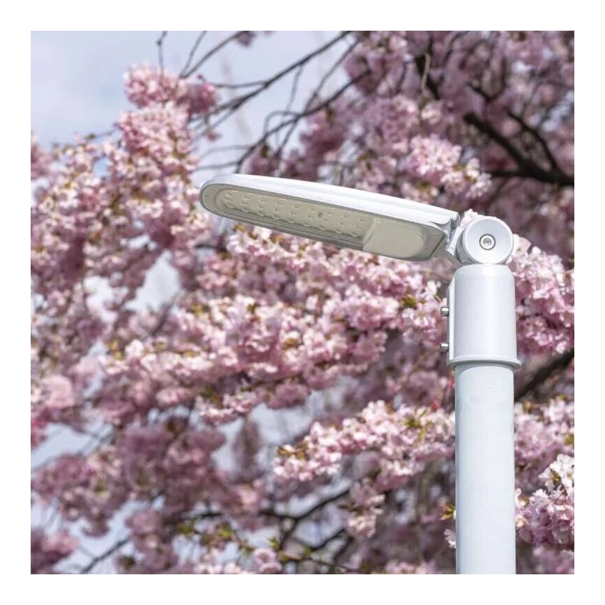 LED gatulampa SOLIS LED/30W/230V 4000K IP65