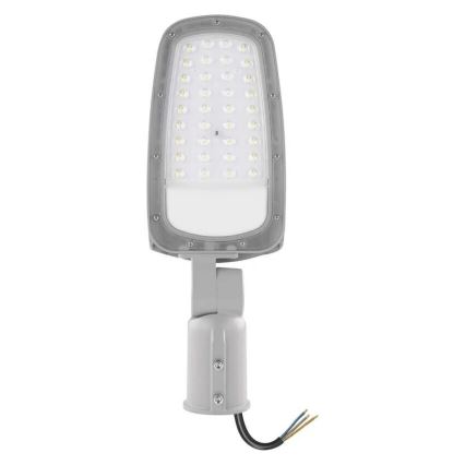 LED gatulampa SOLIS LED/30W/230V 4000K IP65