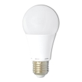 LED glödlampa A60 E27/15W/230V 4100K
