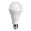 LED glödlampa A65 E27/18W/230V 2700K