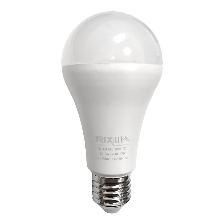 LED glödlampa A65 E27/18W/230V 2700K