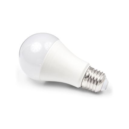 LED glödlampa A80 E27/18W/230V 3000K