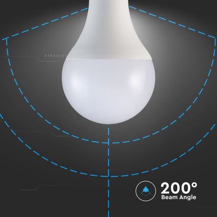 LED glödlampa A80 E27/20W/230V 6500K