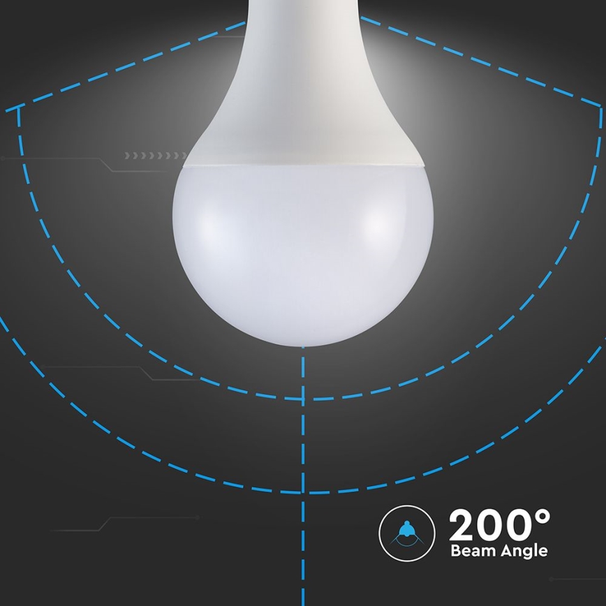 LED glödlampa A80 E27/20W/230V 6500K