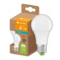 LED Glödlampa av återvunnen plast A60 E27/8,5W/230V 2700K - Ledvance