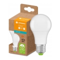 LED Glödlampa av återvunnen plast A60 E27/8,5W/230V 4000K - Ledvance