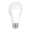 LED glödlampa  E27/20W/230V 3000K