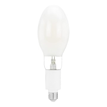 LED glödlampa E27/20W/230V 4000K