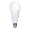LED glödlampa E27/22W/230V 4000K