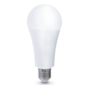 LED glödlampa E27/22W/230V 4000K