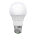 LED Glödlampa  ECOLINE A60 E27/15W/230V 3000K - Brilagi