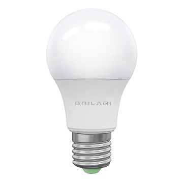 LED Glödlampa  ECOLINE A60 E27/15W/230V 6500K - Brilagi