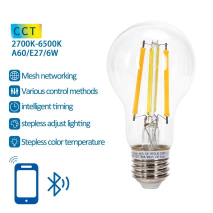 LED Ljusreglerad glödlampa FILAMENT MESH Smart A60 E27/6W/230V 2700-6500K - Aigostar