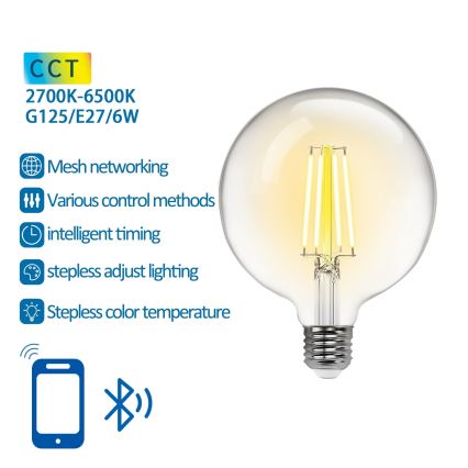 LED Ljusreglerad glödlampa FILAMENT MESH Smart G125 E27/6W/230V 2700-6500K - Aigostar