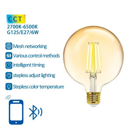 LED Ljusreglerad glödlampa FILAMENT MESH Smart G125 E27/6W/230V 2700-6500K - Aigostar