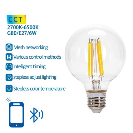 LED Ljusreglerad glödlampa FILAMENT MESH Smart G80 E27/6W/230V 2700-6500K - Aigostar