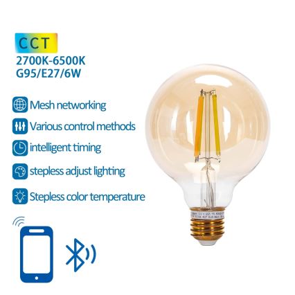 LED Ljusreglerad glödlampa FILAMENT MESH Smart G95 E27/6W/230V 2700-6500K - Aigostar