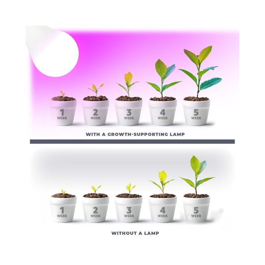 LED Glödlampa för växttillväxt PLANTY E27/11W/230V 1200K vit