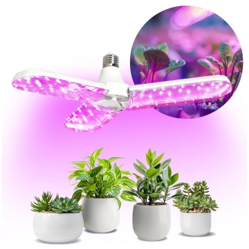 LED Glödlampa för växttillväxt PLANTY E27/24W/230V 1200K