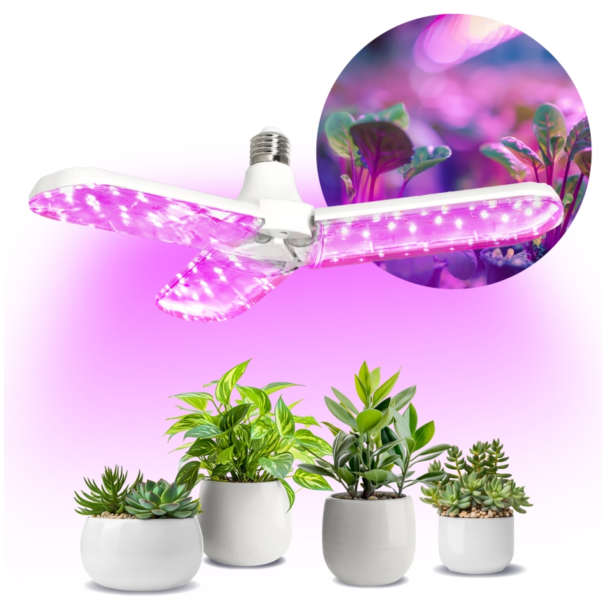 LED Glödlampa för växttillväxt PLANTY E27/24W/230V 1200K