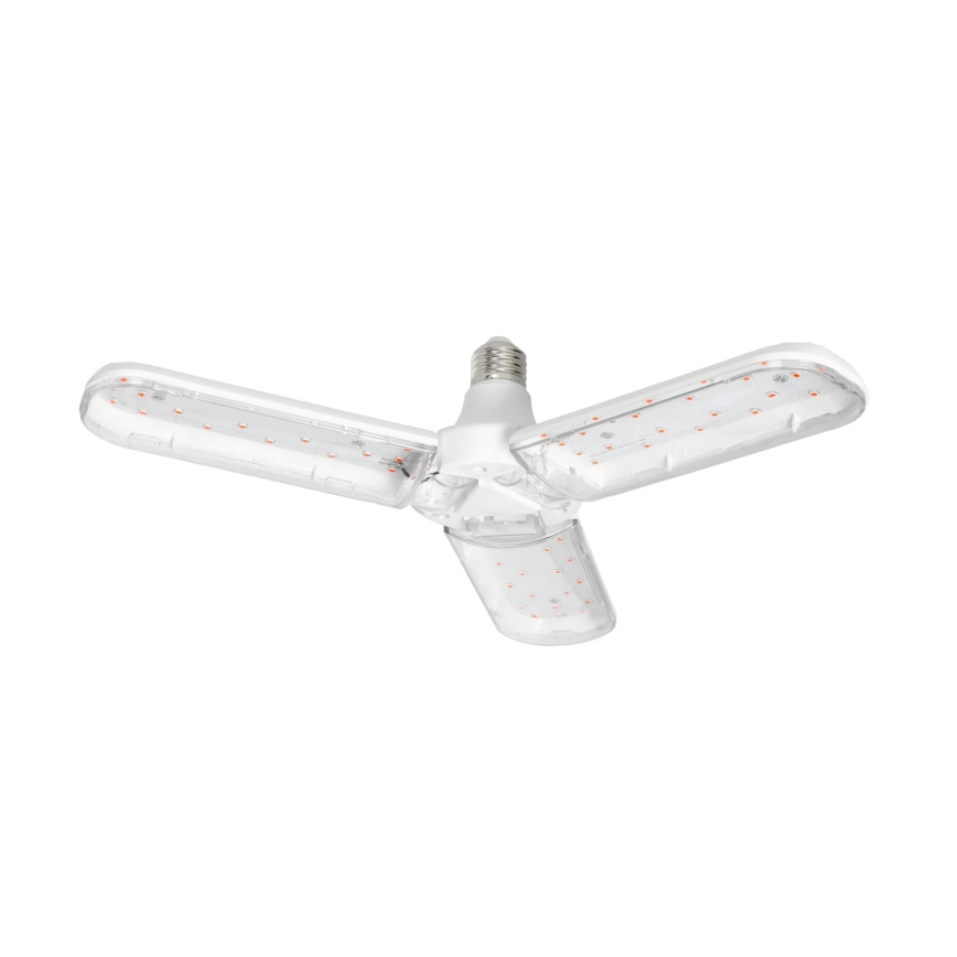 LED Glödlampa för växttillväxt PLANTY E27/24W/230V 1200K