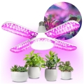 LED Glödlampa för växttillväxt PLANTY E27/40W/230V 1200K