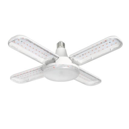 LED Glödlampa för växttillväxt PLANTY E27/40W/230V 1200K