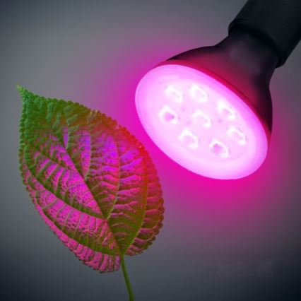 LED Glödlampa för växttillväxt PLANTY E27/7W/230V 1200K svart