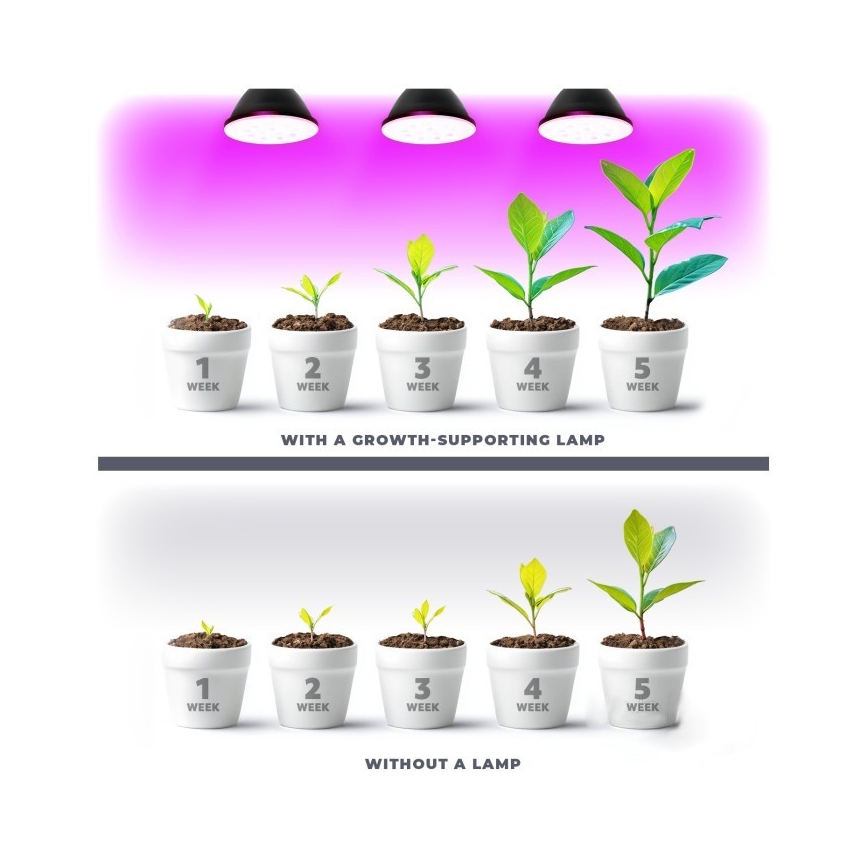 LED Glödlampa för växttillväxt PLANTY E27/7W/230V 1200K svart