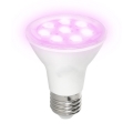 LED Glödlampa för växttillväxt PLANTY E27/7W/230V 1200K vit