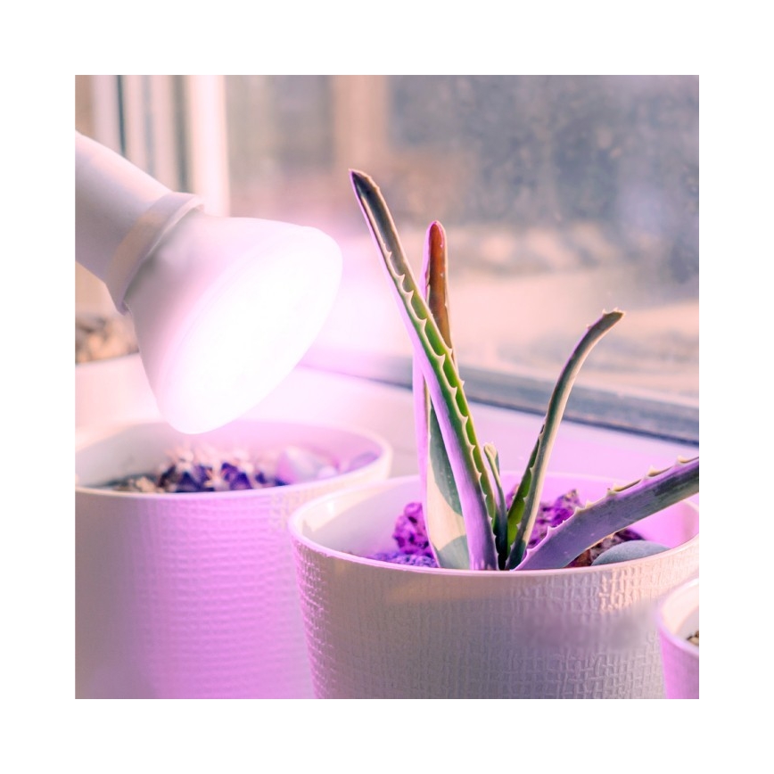 LED Glödlampa för växttillväxt PLANTY E27/7W/230V 1200K vit