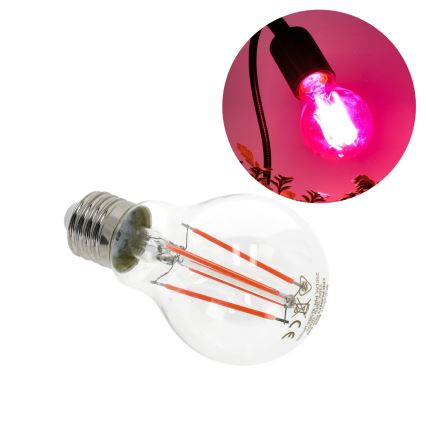 LED Glödlampa för växttillväxt PLANTY E27/8W/230V 1200K