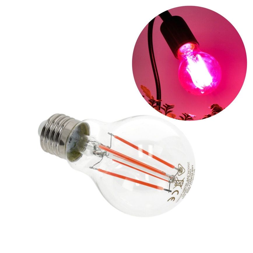 LED Glödlampa för växttillväxt PLANTY E27/8W/230V 1200K