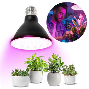 LED Glödlampa för växttillväxt PLANTY E27/9W/230V 1200K svart