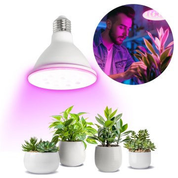 LED Glödlampa för växttillväxt PLANTY E27/9W/230V 1200K vit