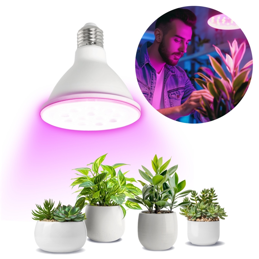 LED Glödlampa för växttillväxt PLANTY E27/9W/230V 1200K vit
