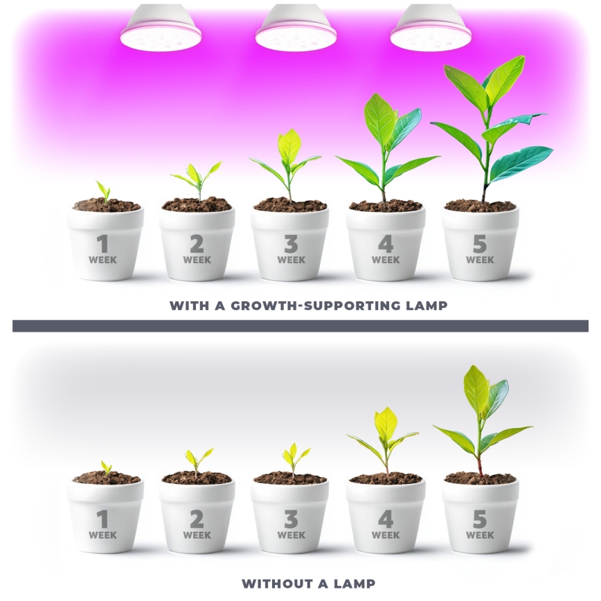 LED Glödlampa för växttillväxt PLANTY E27/9W/230V 1200K vit