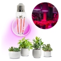LED Glödlampa för växttillväxt VITABLOOM E27/8W/230V 1200K - Brilagi
