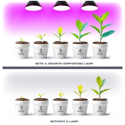 LED Glödlampa för växttillväxt VITABLOOM E27/9W/230V 1200K svart - Brilagi
