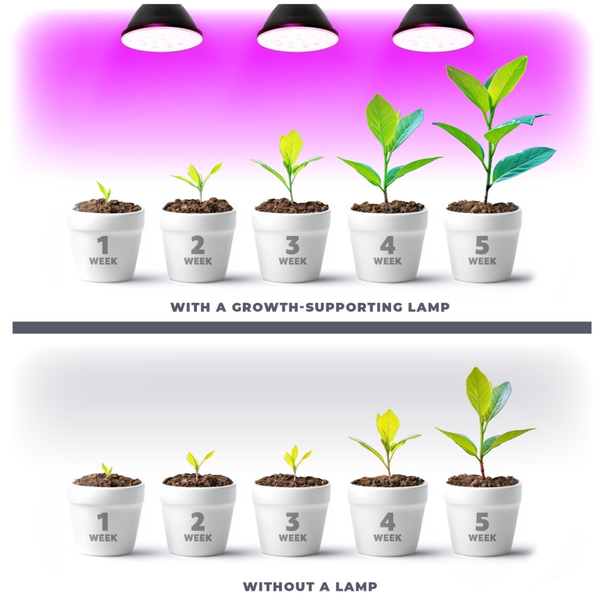 LED Glödlampa för växttillväxt VITABLOOM E27/9W/230V 1200K svart - Brilagi