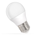LED glödlampa G45 E27/4W/230V 6000K