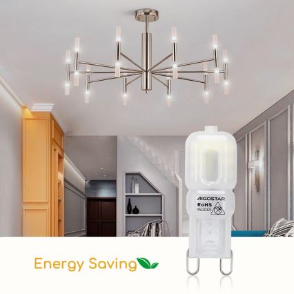 LED glödlampa G9/2W/230V 6500K - Aigostar