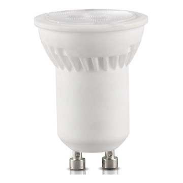 LED glödlampa  GU10-MR11/4W/230V 3000K