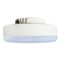 LED glödlampa GX53/6W/230V 3000K