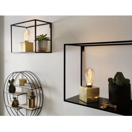 LED glödlampa INNER ST64 E27/3,5W/230V 1800K - Paulmann 28885